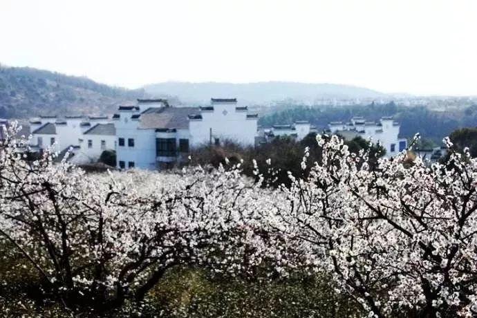 东材科技:公司实控人一致行动人高金富恒拟